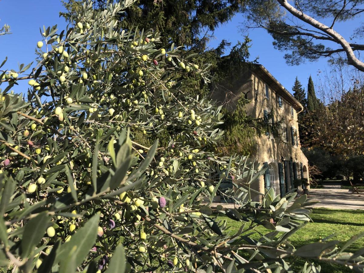 Desir De Provence Bed & Breakfast Sarrians Bagian luar foto